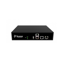 Yeastar TE100
